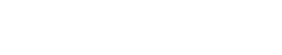 FlyUs Agency