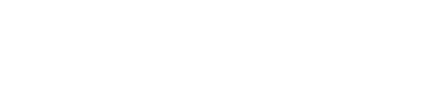 Next Level Business Academy